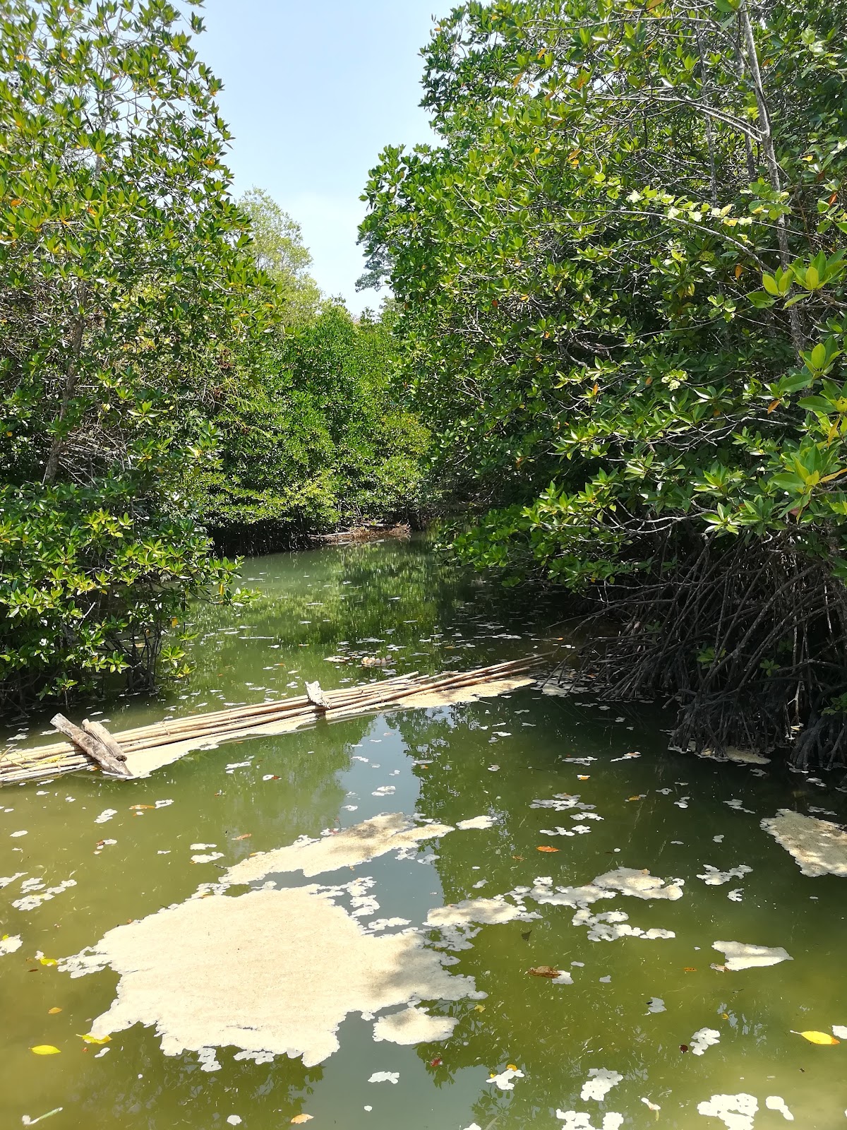 Chidiya Tapu Bird Island