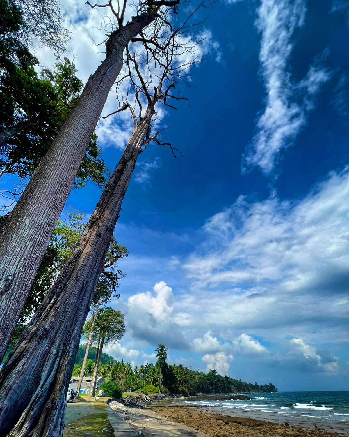 Chidiya Tapu Bird Island