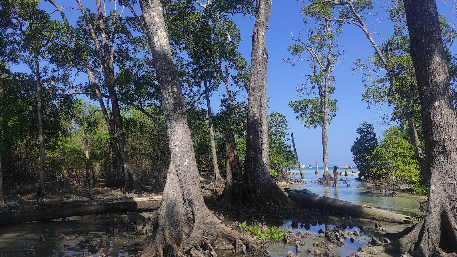 Elephant Beach Havelock Island