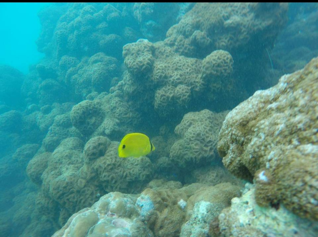 Elephant Beach Havelock Island