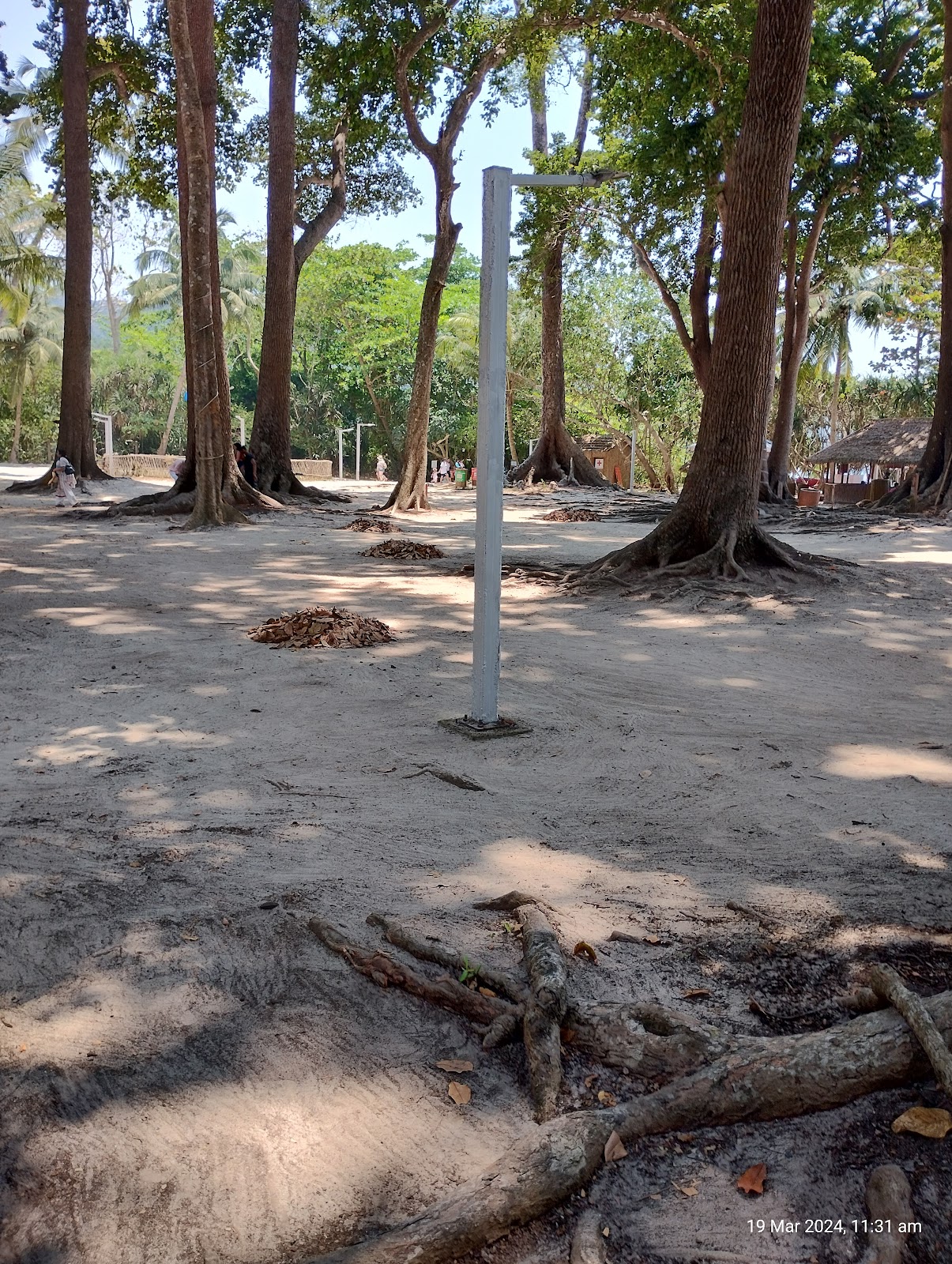 Radhanagar Beach Havelock Island