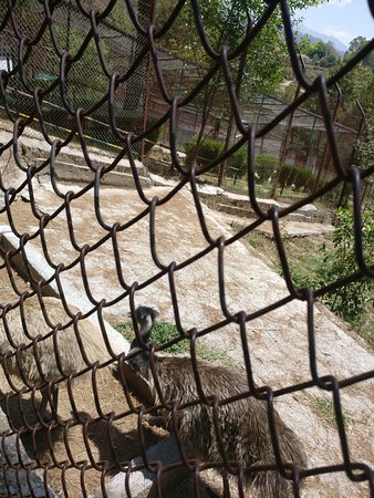 Gopalpur Zoo
