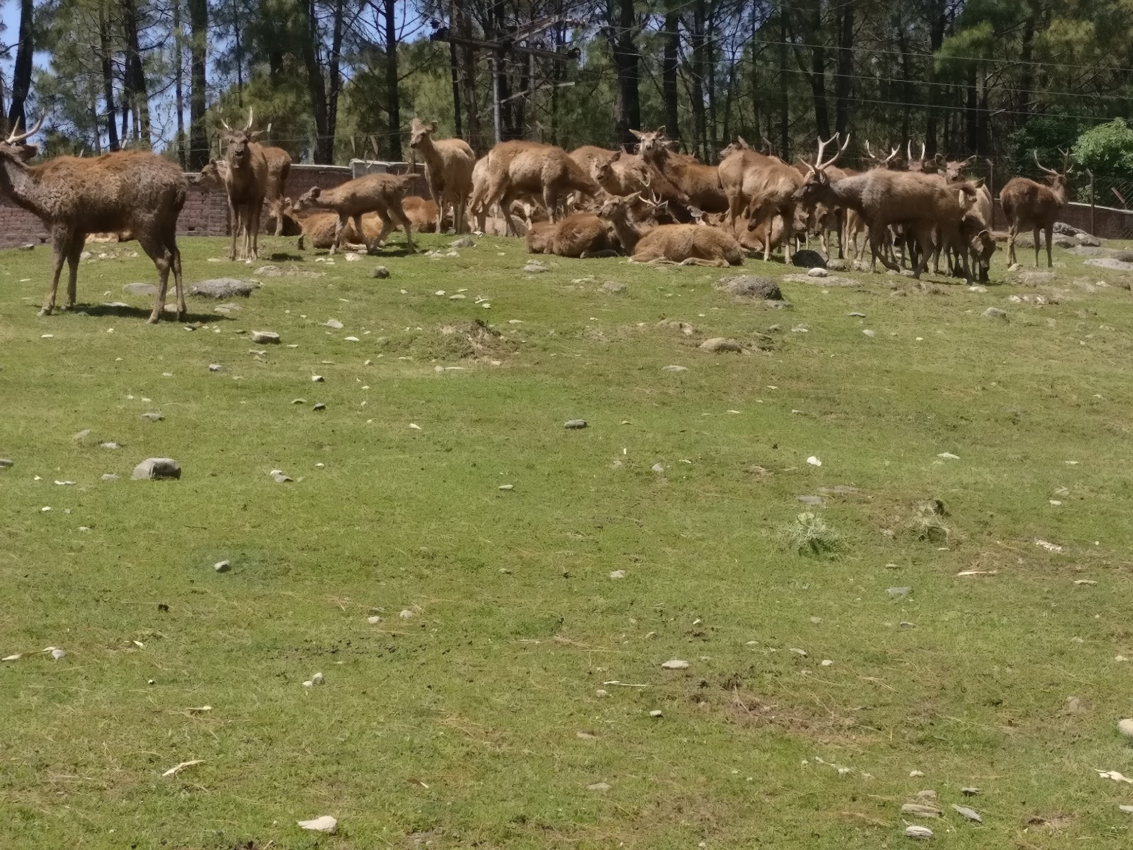 Gopalpur Zoo