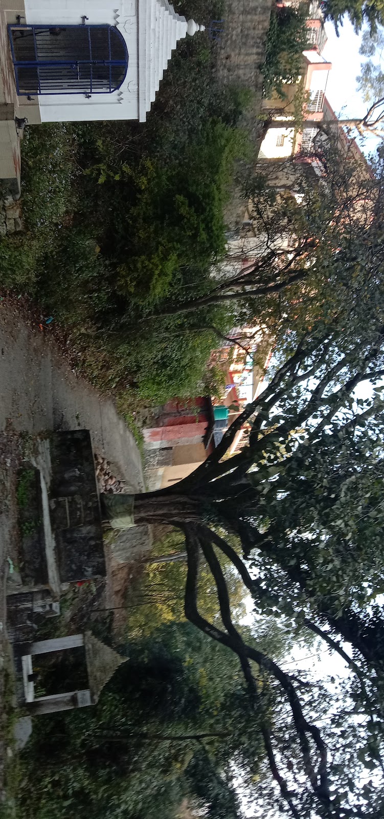 Kangra Valley