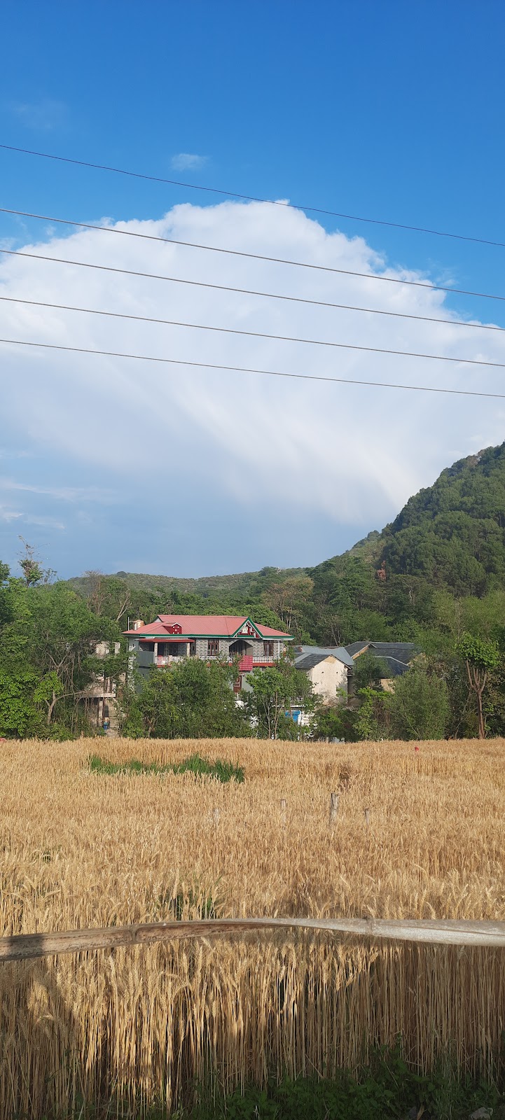 Kangra Valley
