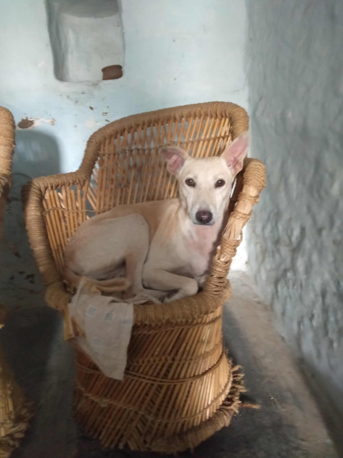 Local Handicraft Market