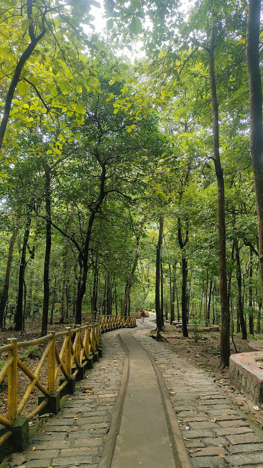 Athirappilly Waterfalls