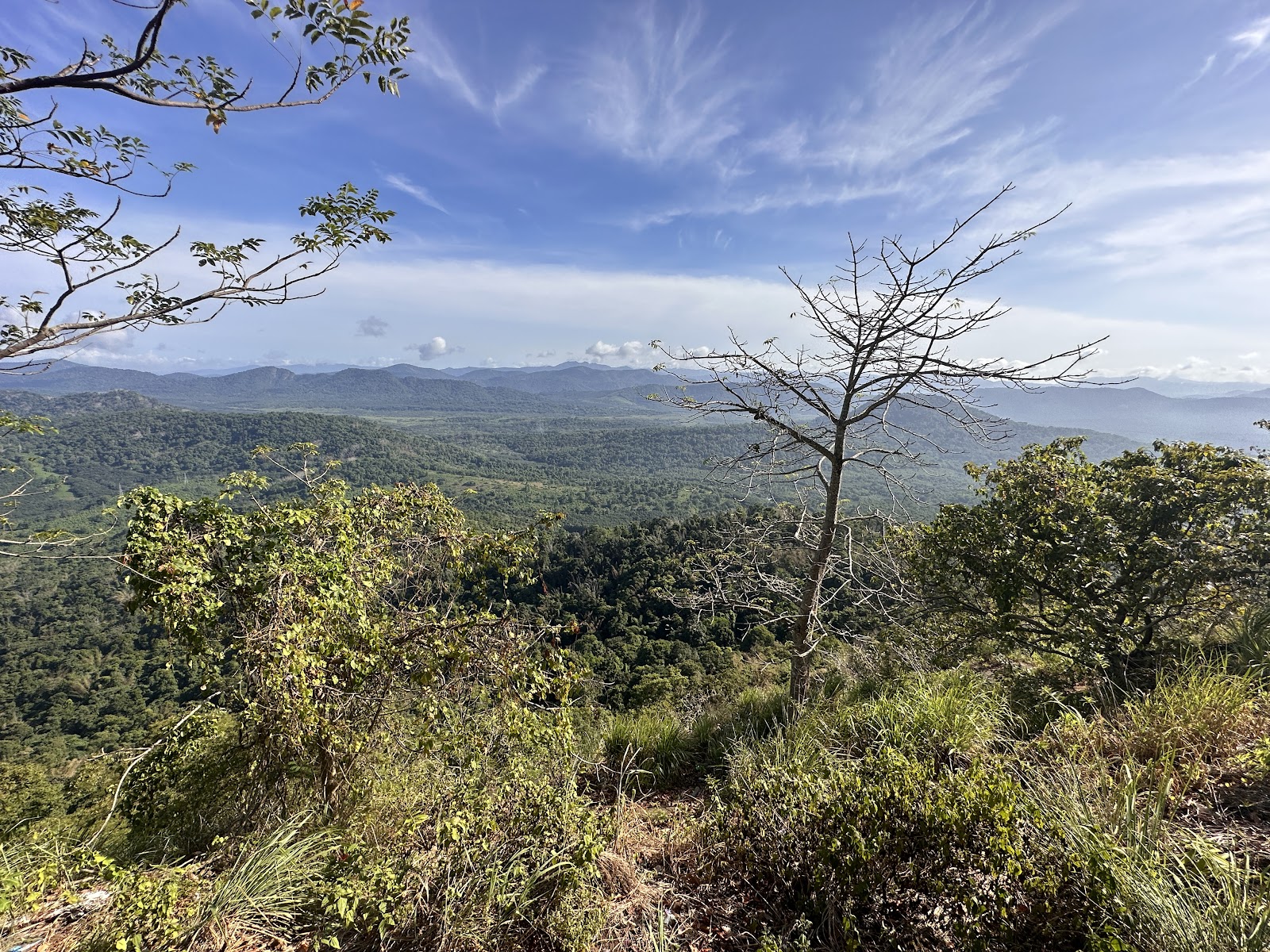 St Thomas Syro Malabar Catholic Church