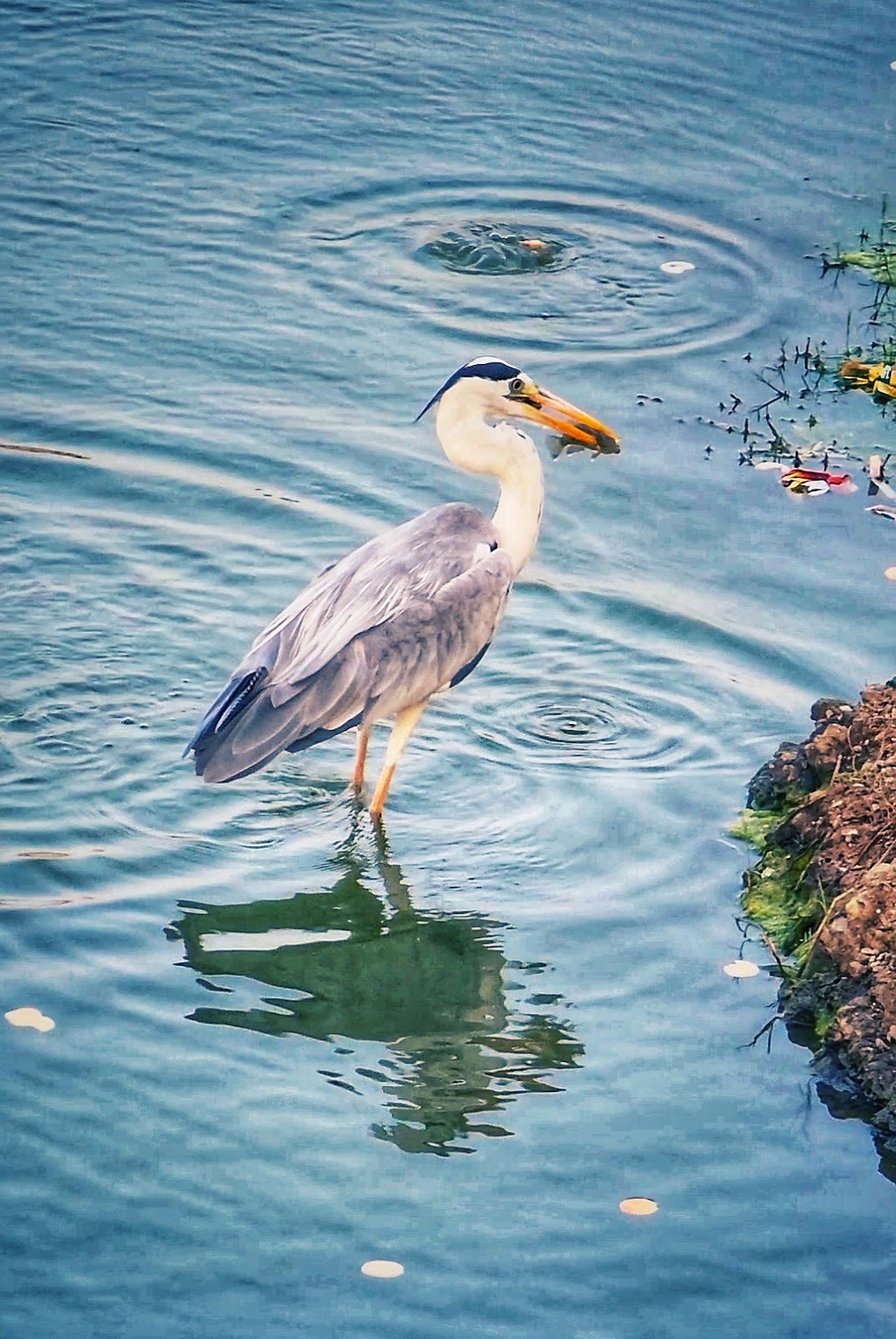 Anjar Riverside Walk
