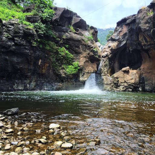 Shoolpaneshwar Wildlife Sanctuary