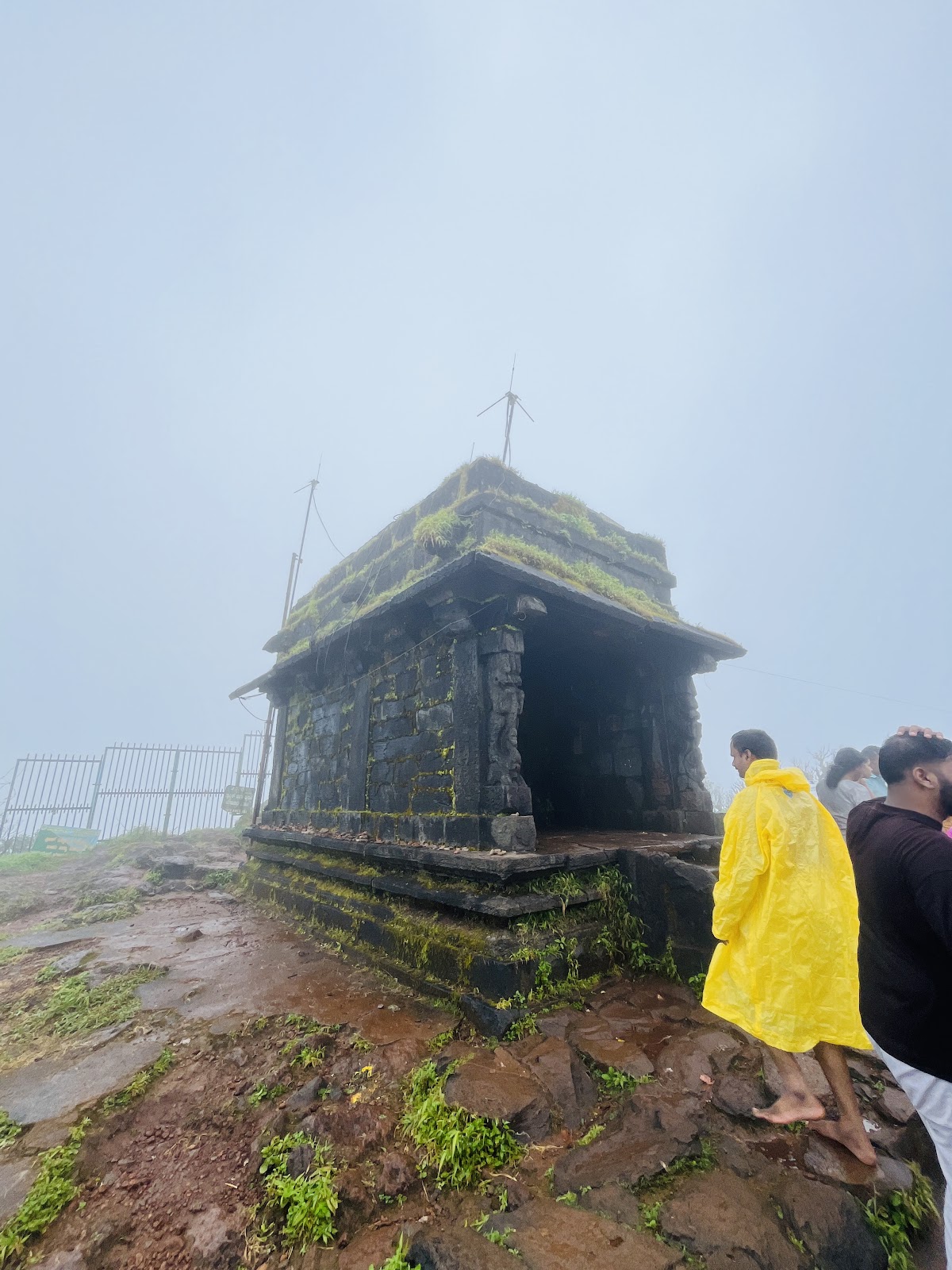 Karnataka Wildlife Sanctuary
