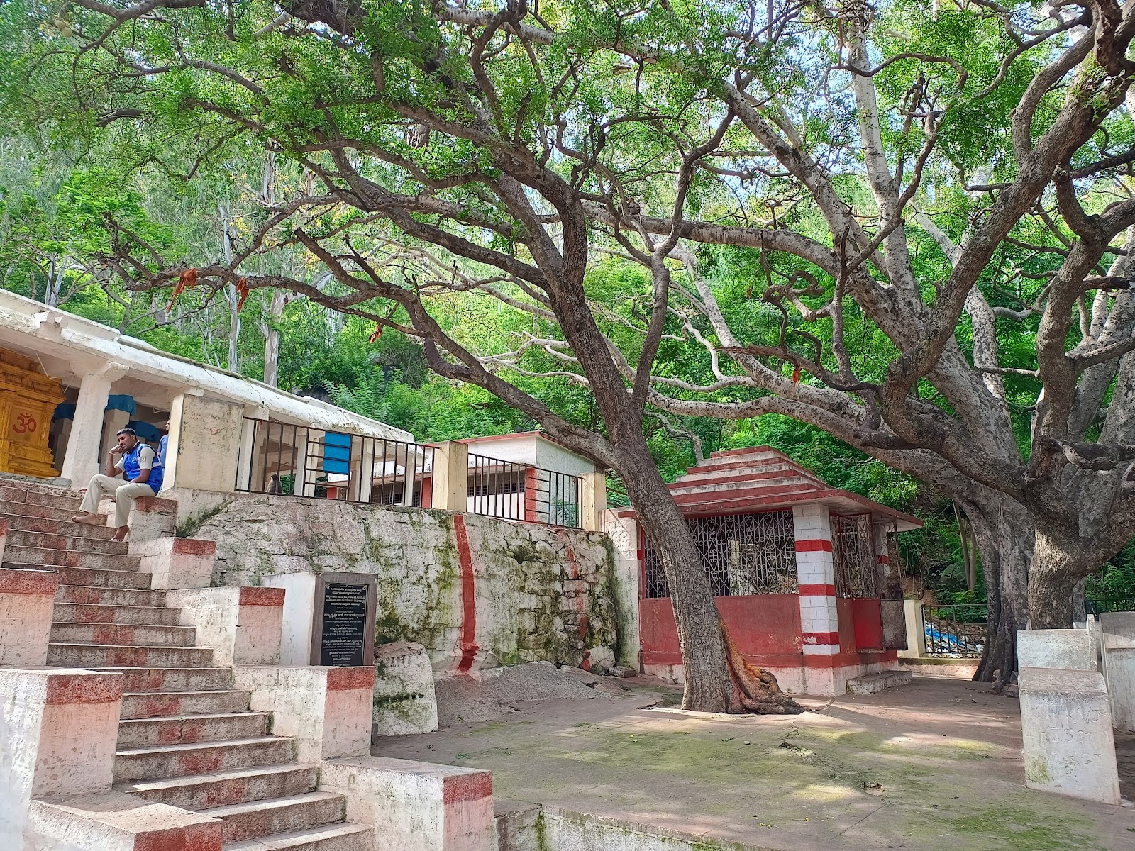 Kashi Vishwanath Temple