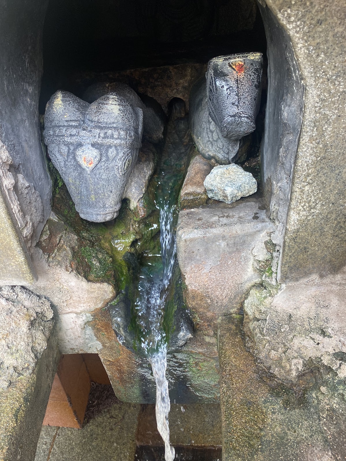 Kashi Vishwanath Temple