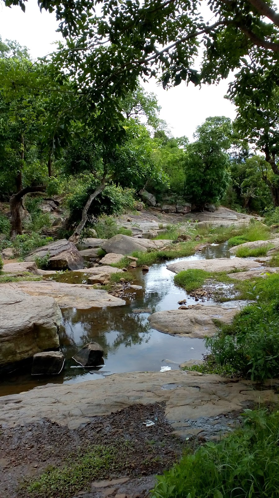 Ananthagiri Hills