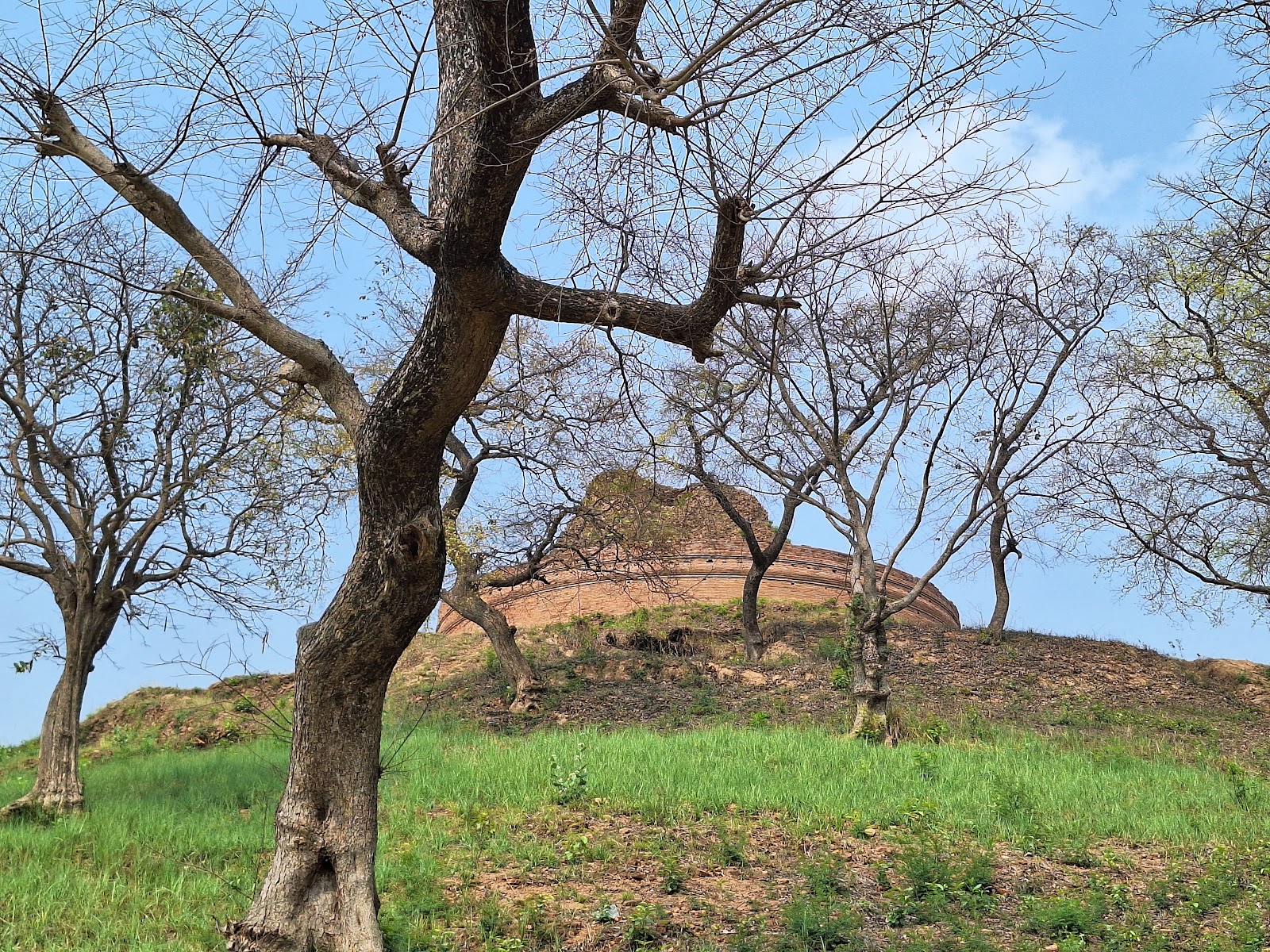 Buddha Stupa
