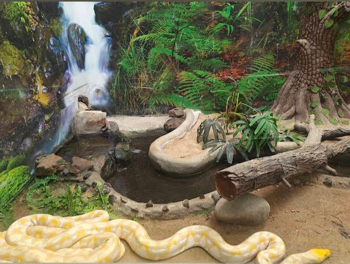Chennai Snake Park