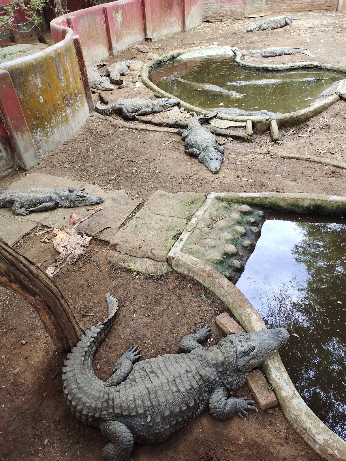 Guindy National Park