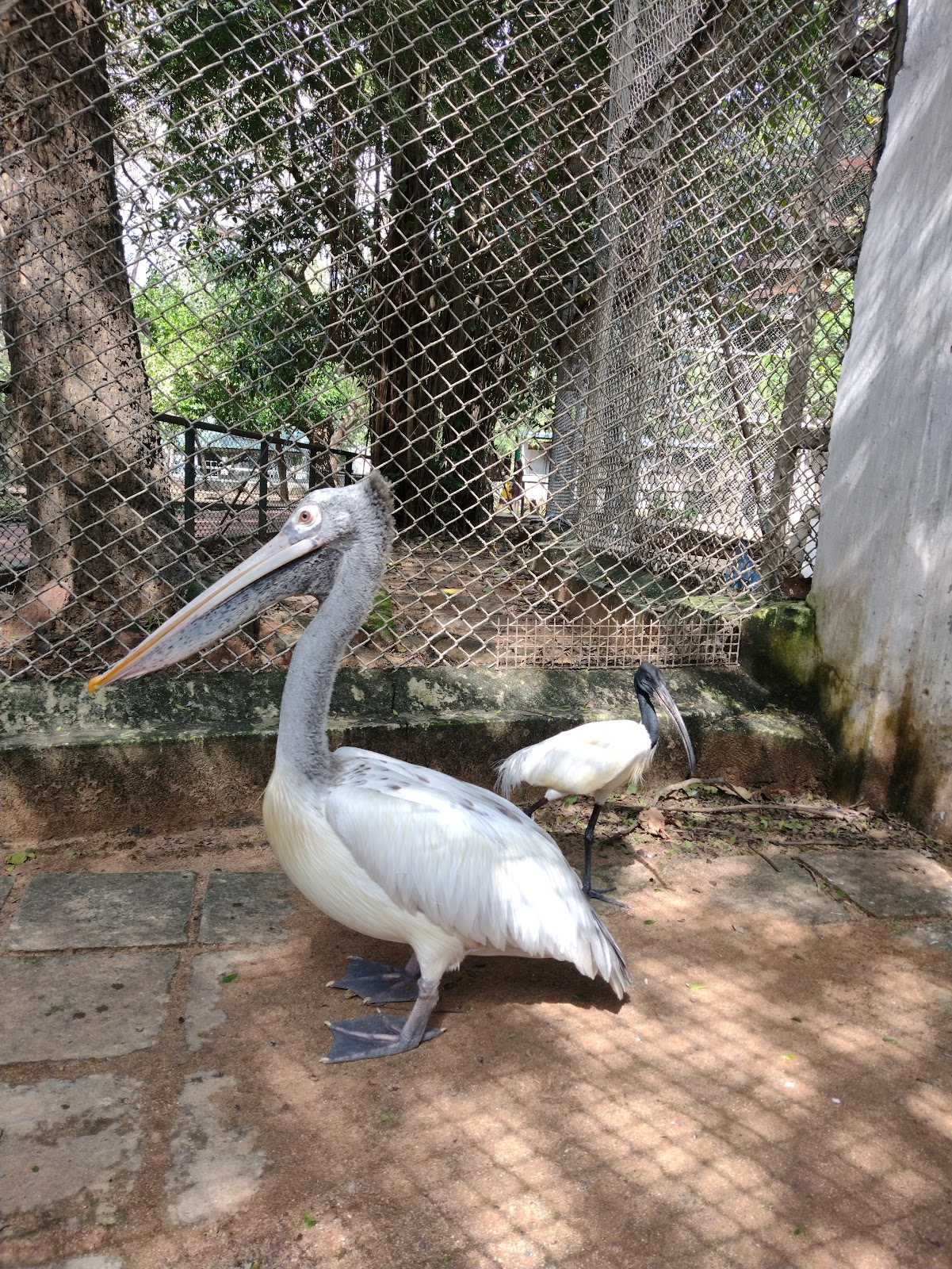 Guindy National Park