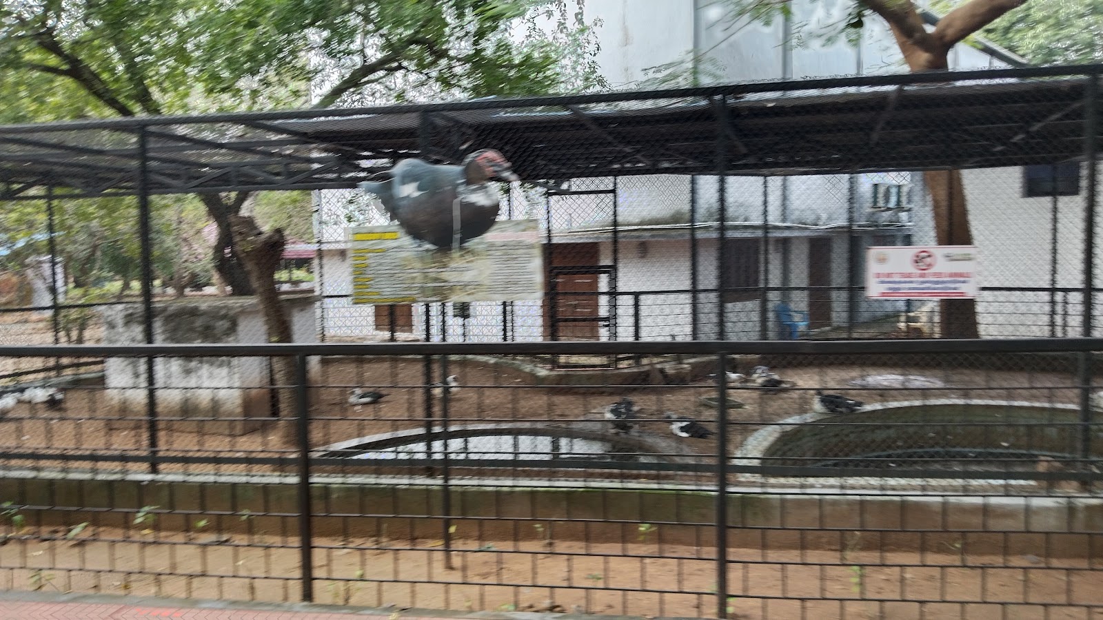 Guindy National Park