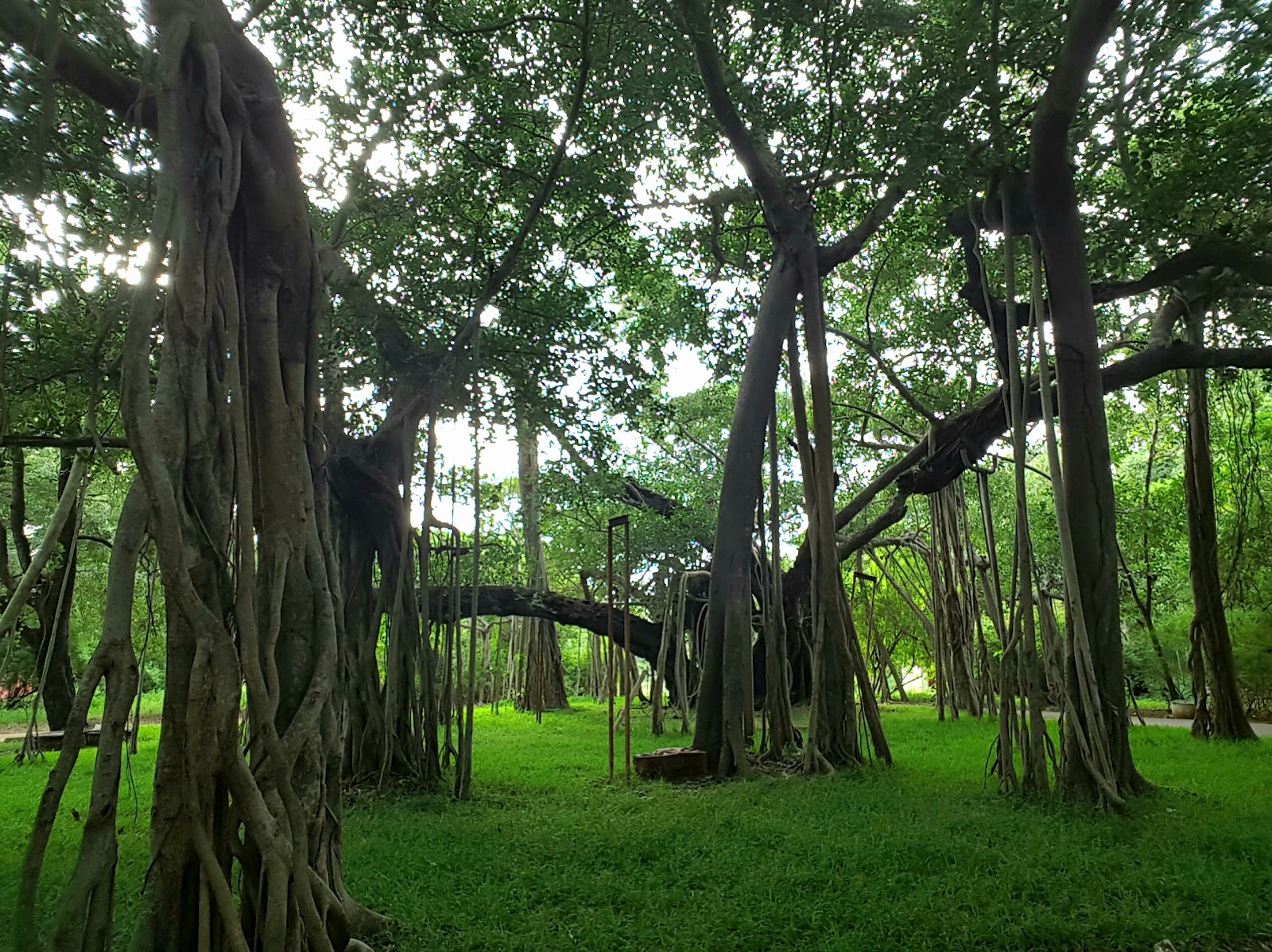 Theosophical Society