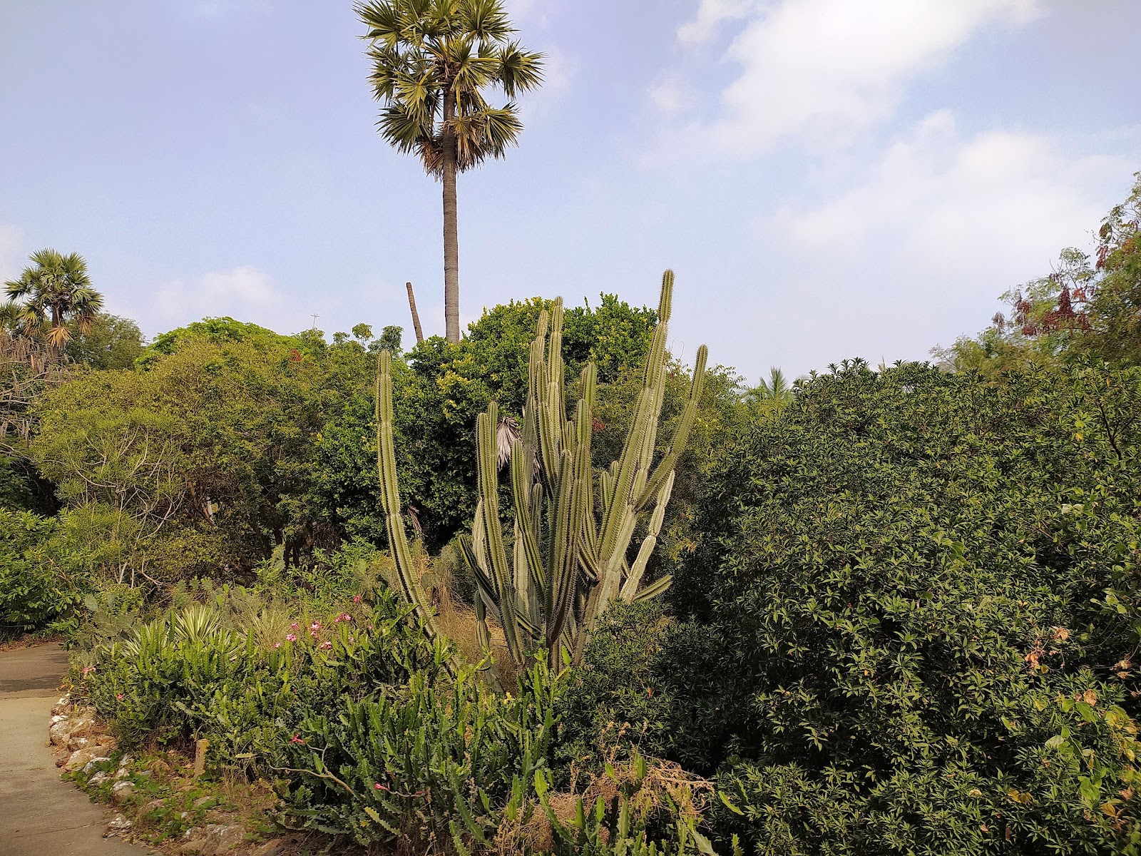 Theosophical Society