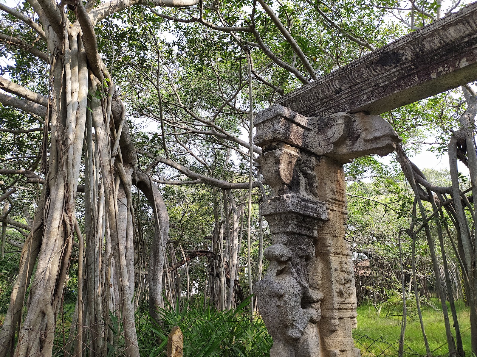 Theosophical Society