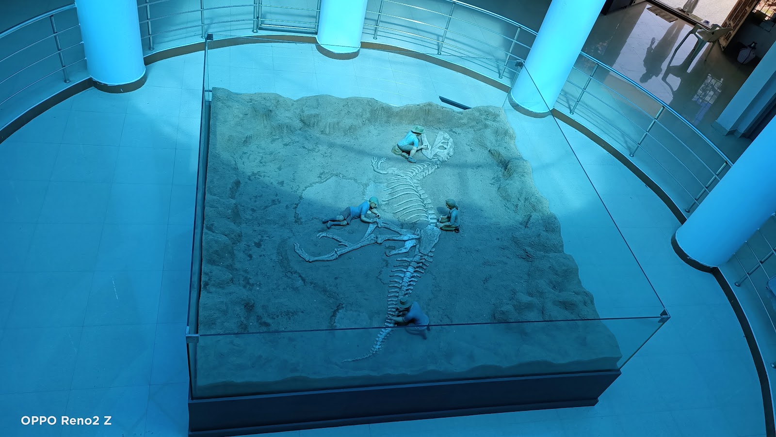 Ariyalur Fossil Park and Museum