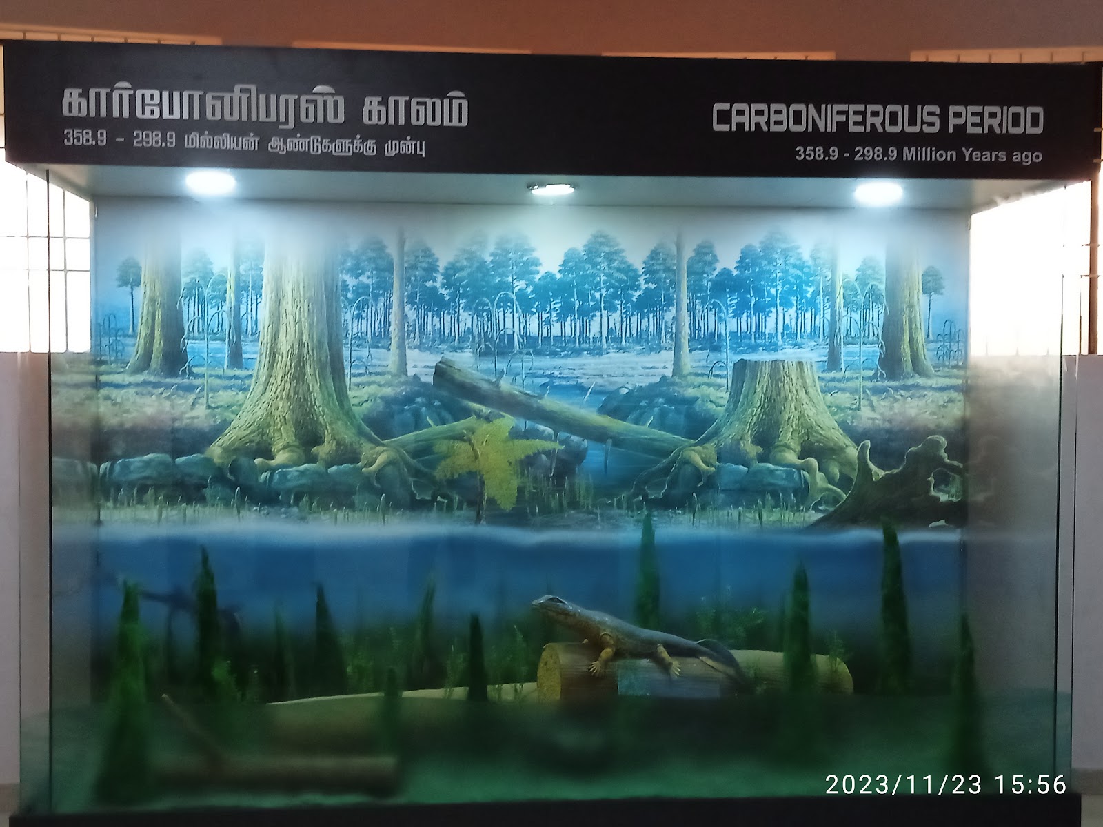 Ariyalur Fossil Park and Museum