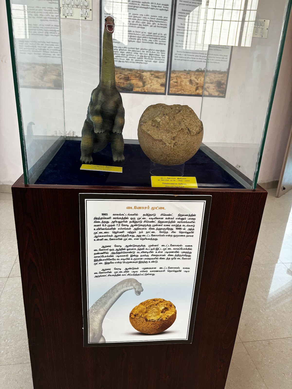 Ariyalur Fossil Park and Museum