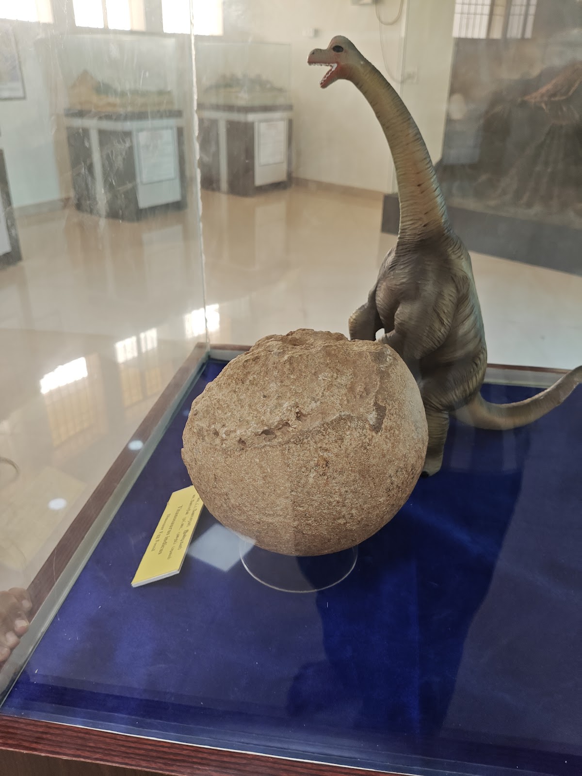 Ariyalur Fossil Park and Museum