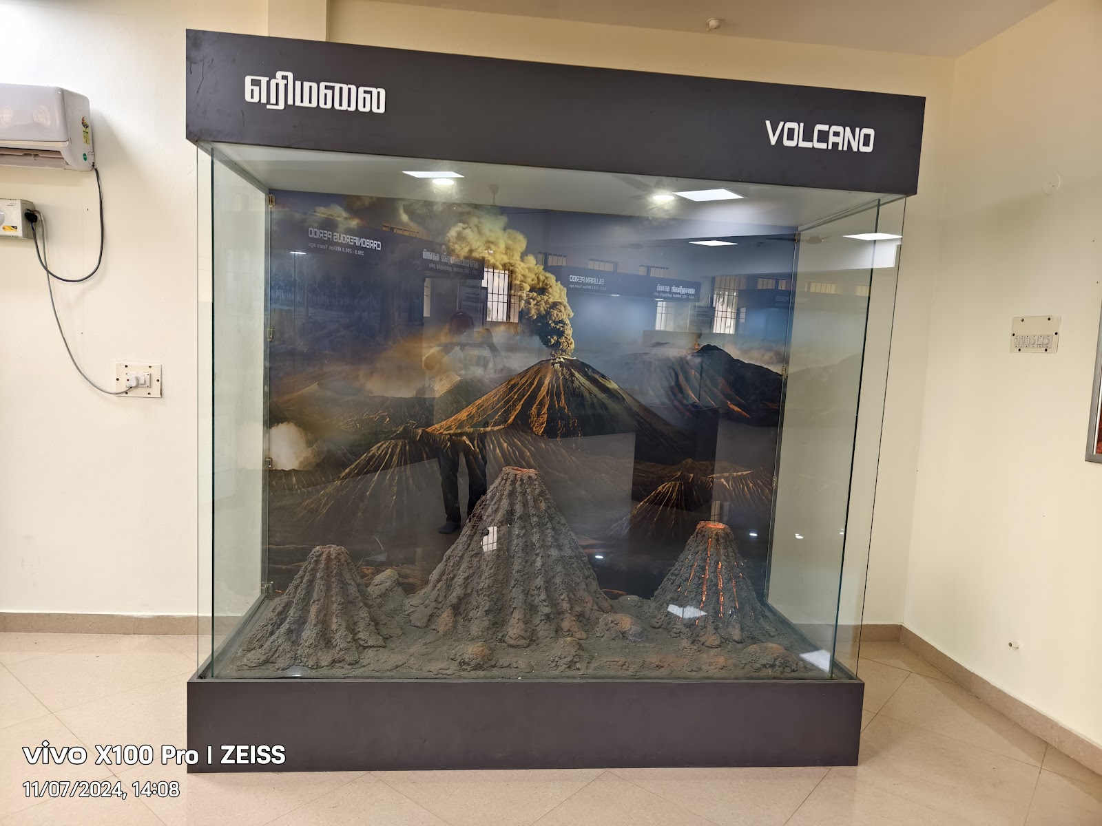 Ariyalur Fossil Park and Museum