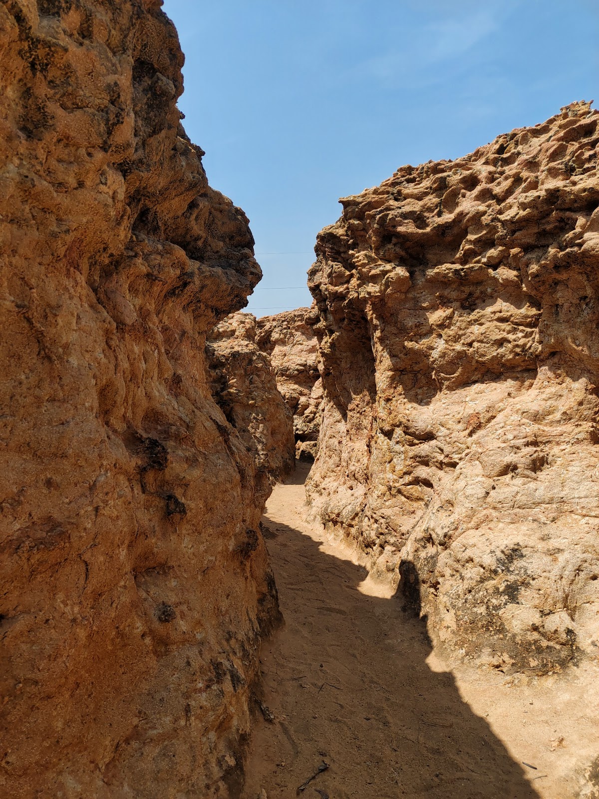 Ariyalur Fossil Park and Museum