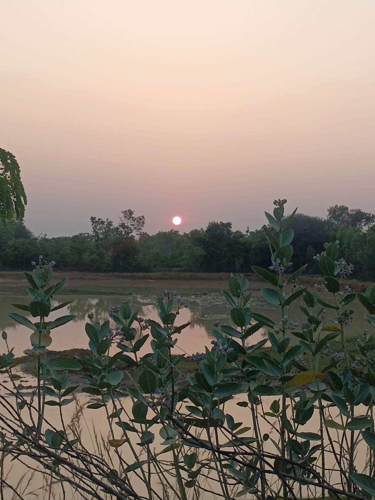 Jayankondam Town and Local Markets