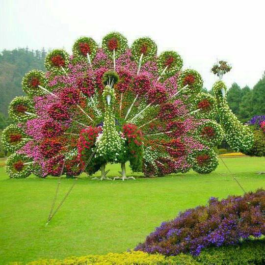 Jayankondam Town and Local Markets