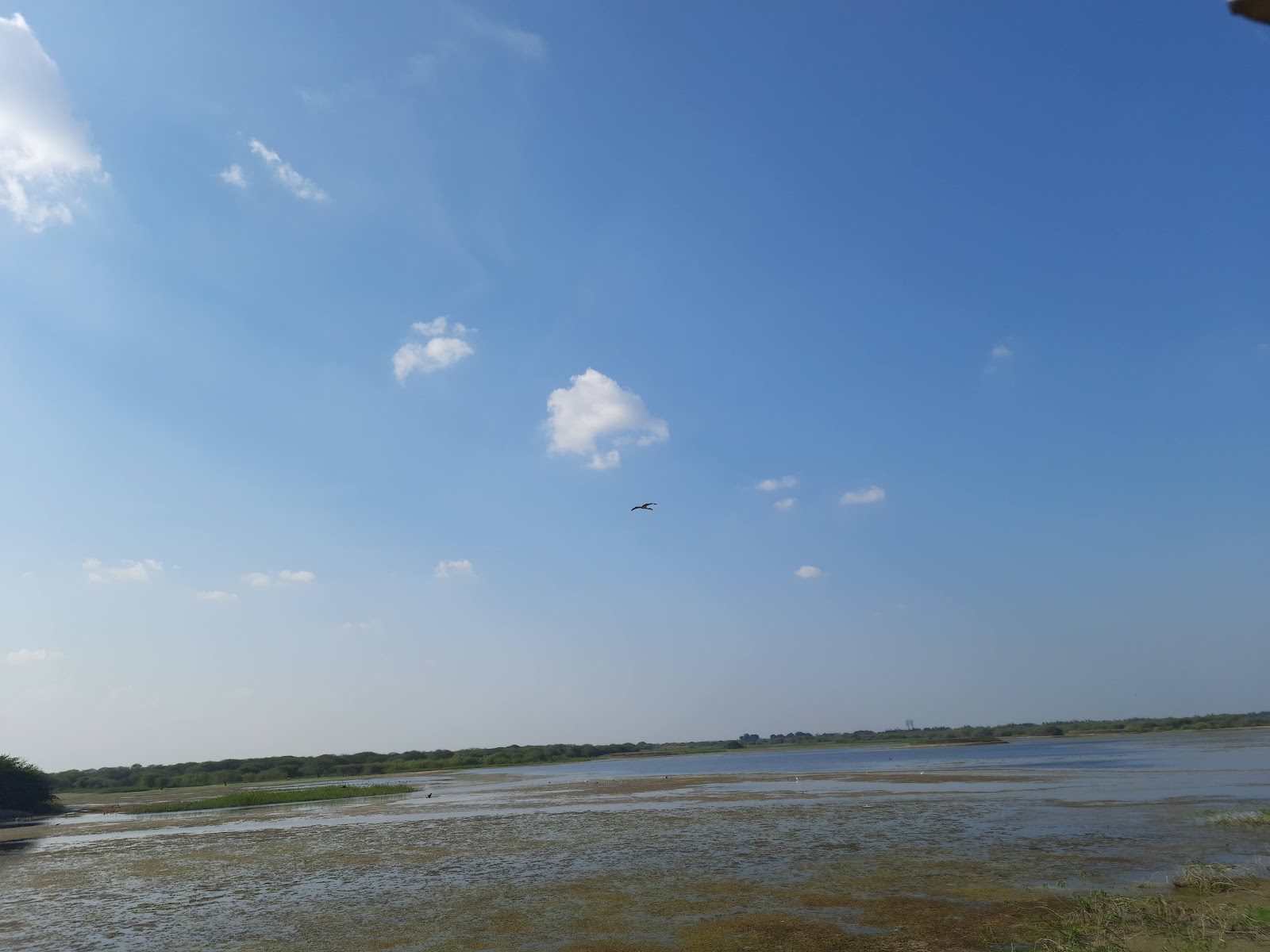 Kondalur Tank and Birdwatching