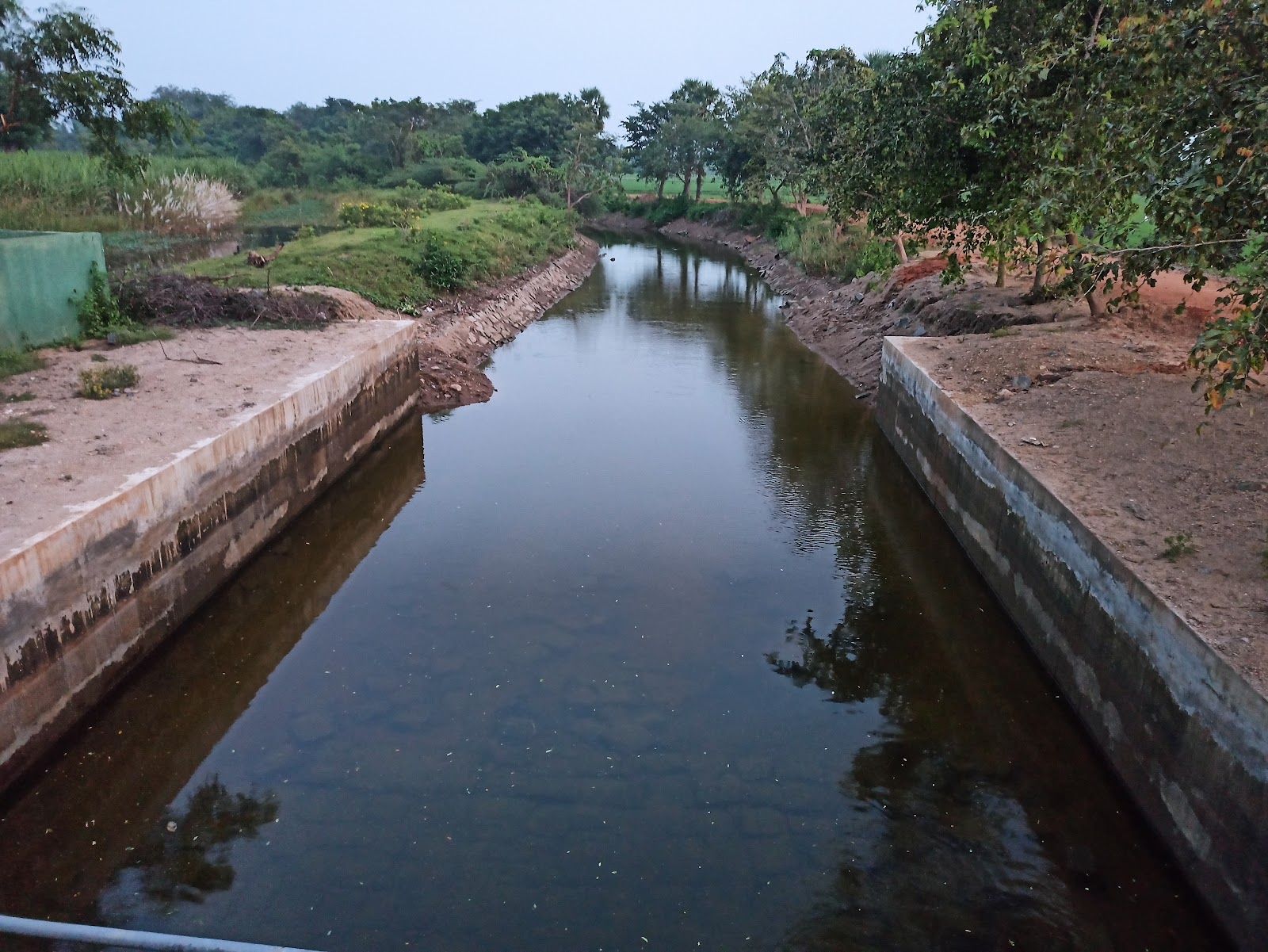 Kondalur Tank and Birdwatching