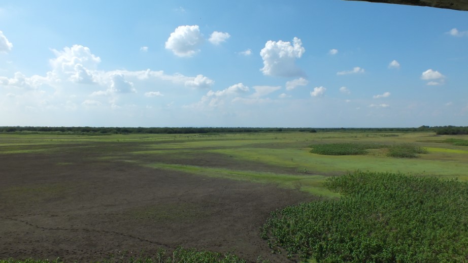 Kondalur Tank and Birdwatching