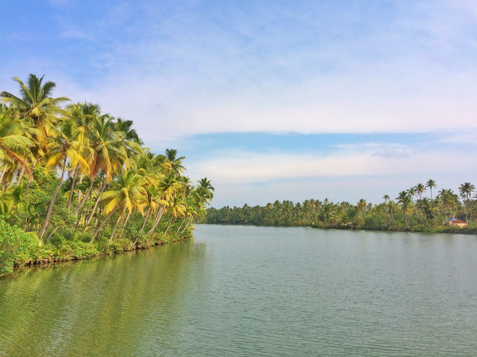 Ashtamudi Lake