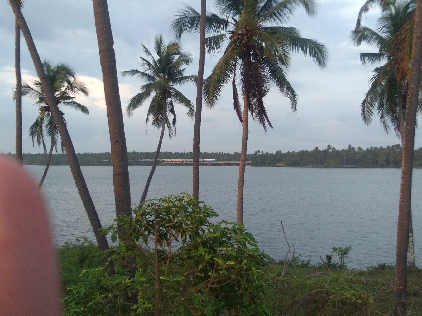 Paravur Lake