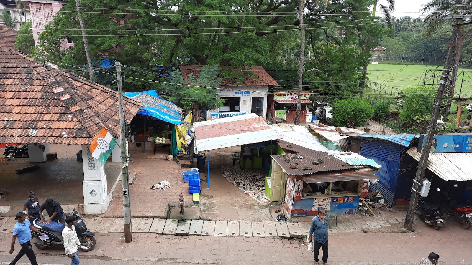 Local Fish Market Arossim