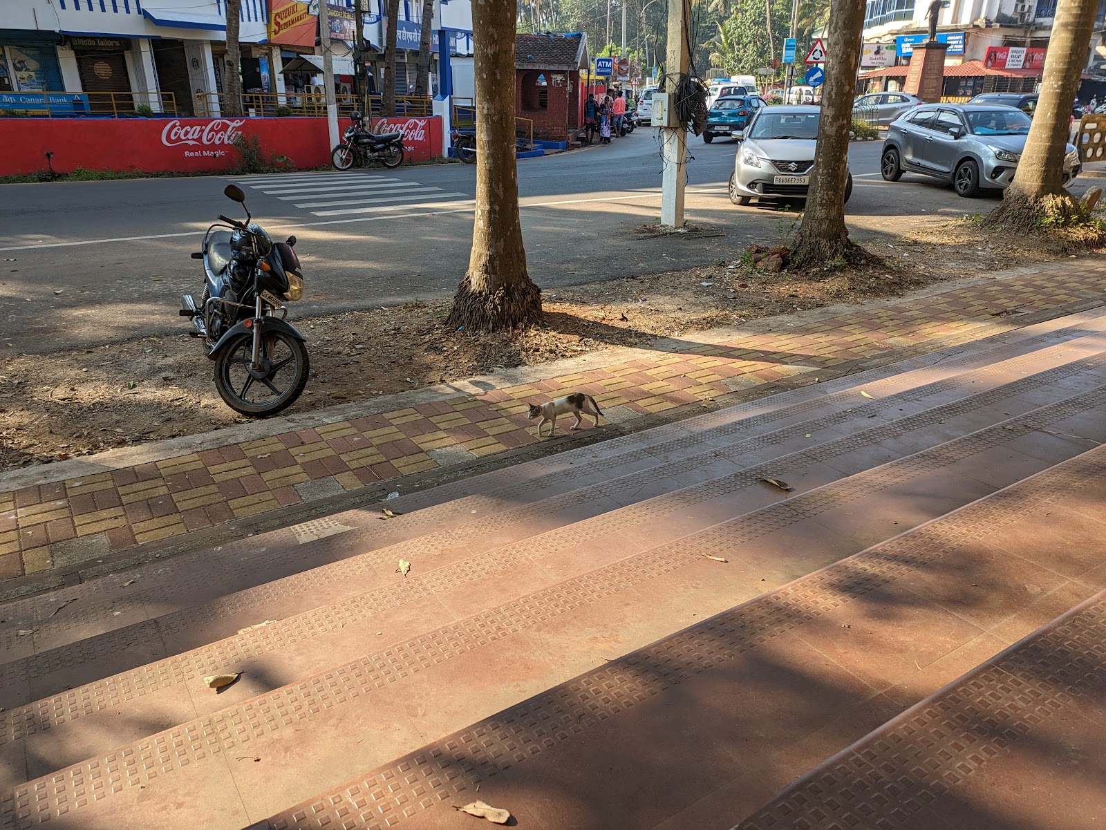 Local Fish Market Arossim