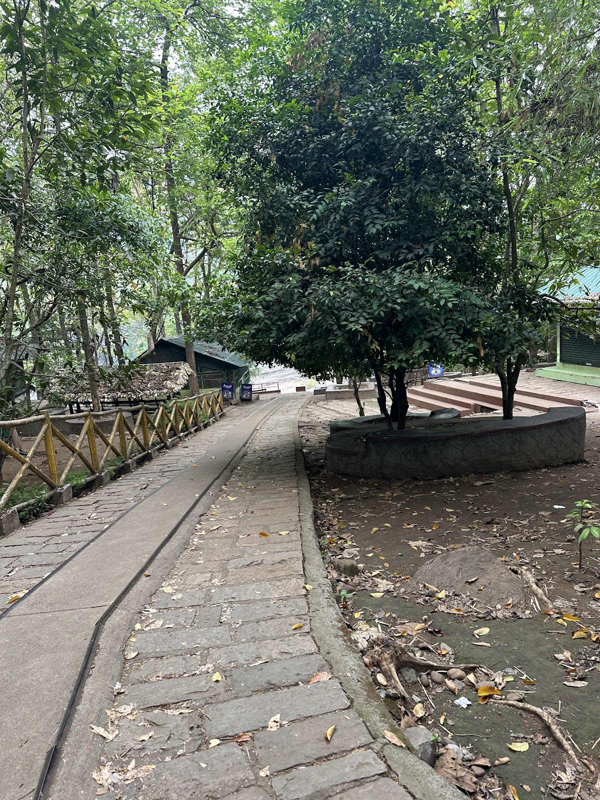 Athirapally Eco Tourism Centre