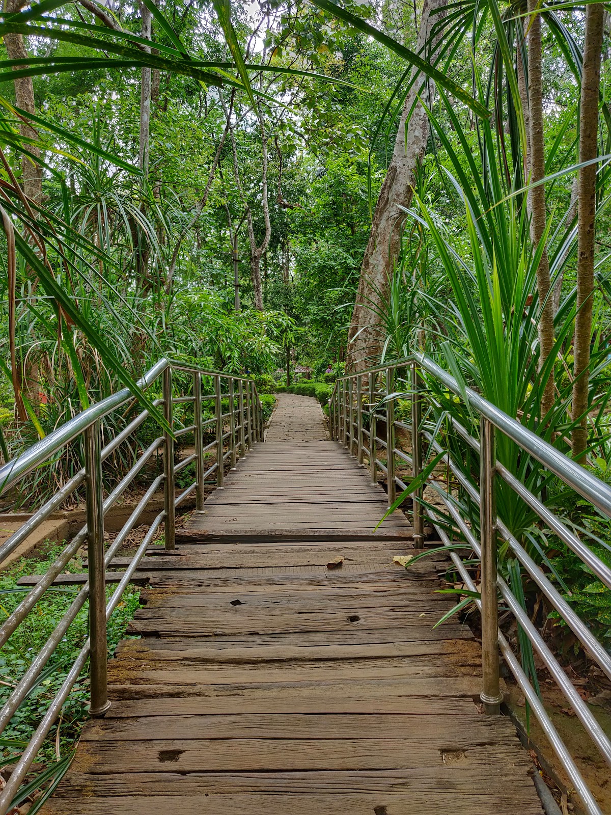 Vazhachal Falls