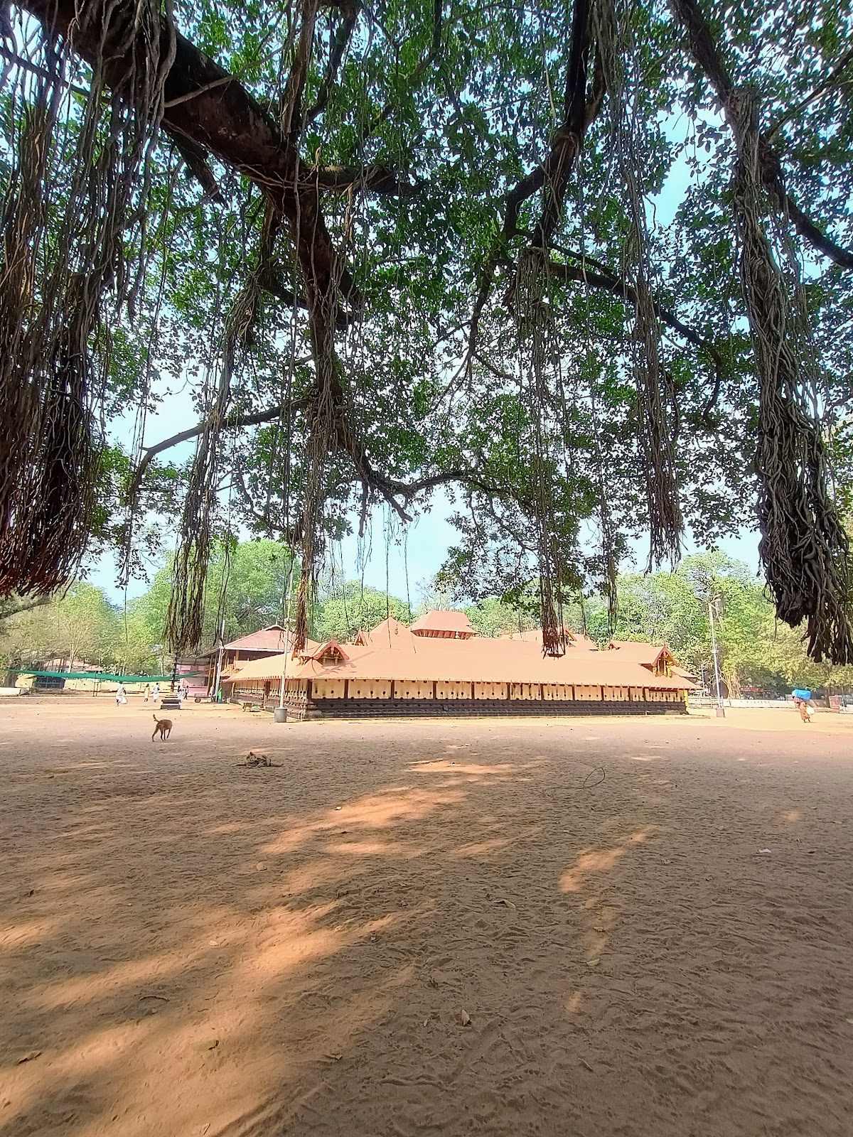 Kodungallur Bhagavathy Temple