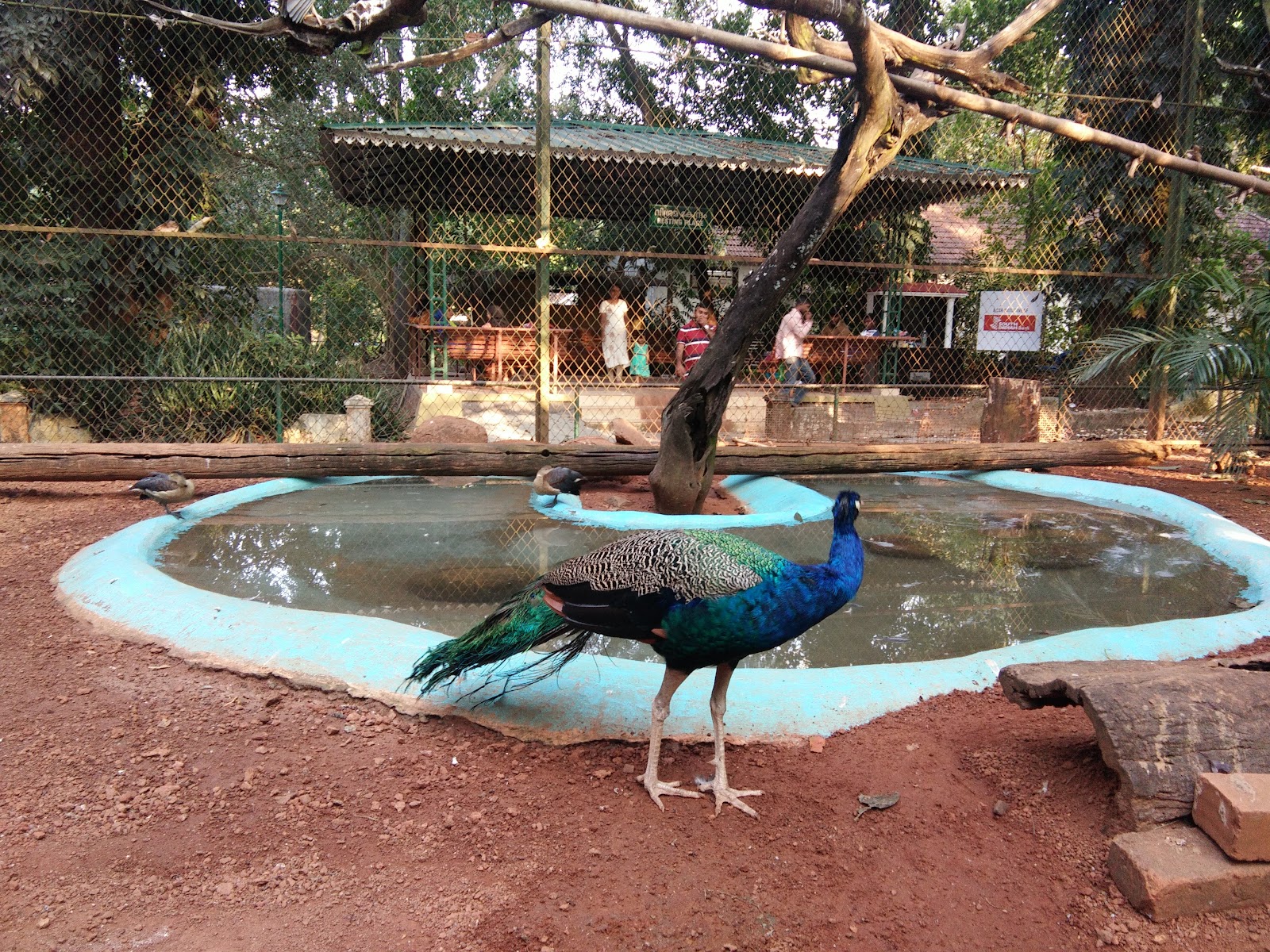 Thrissur Zoo
