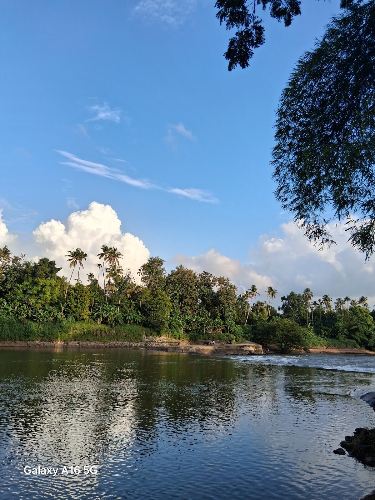 Chalakudy River Walk