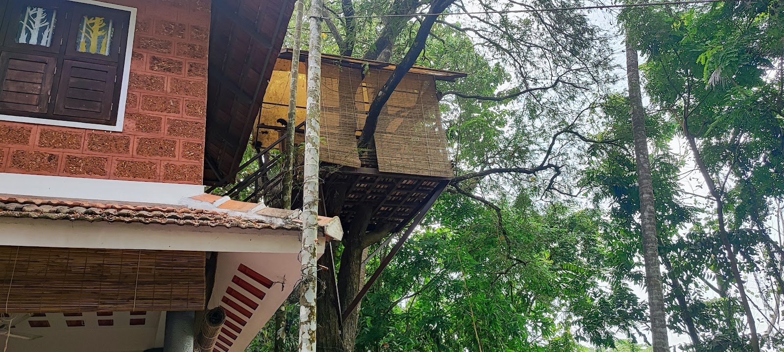 Chalakudy River Walk