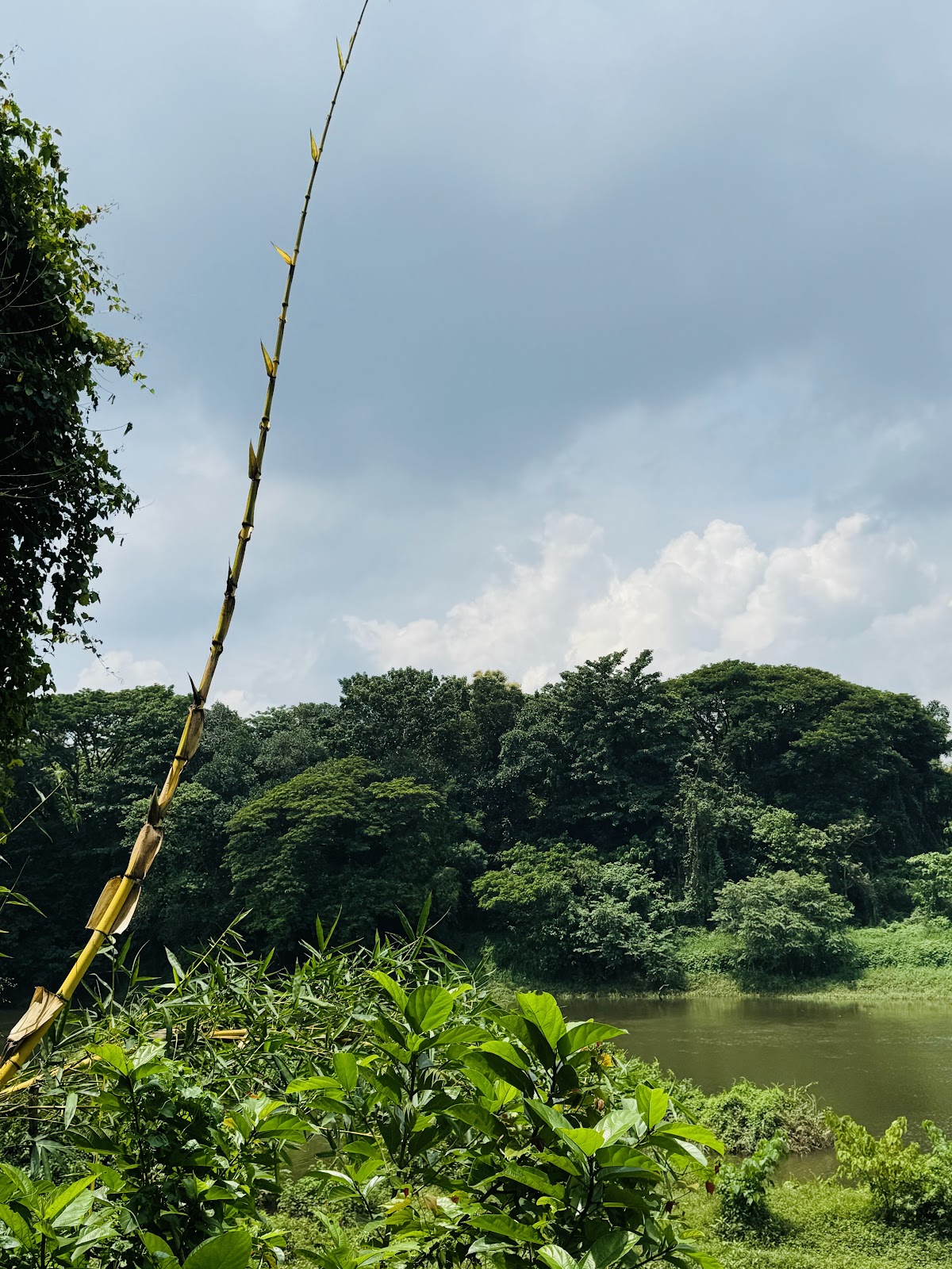 Chalakudy River Walk