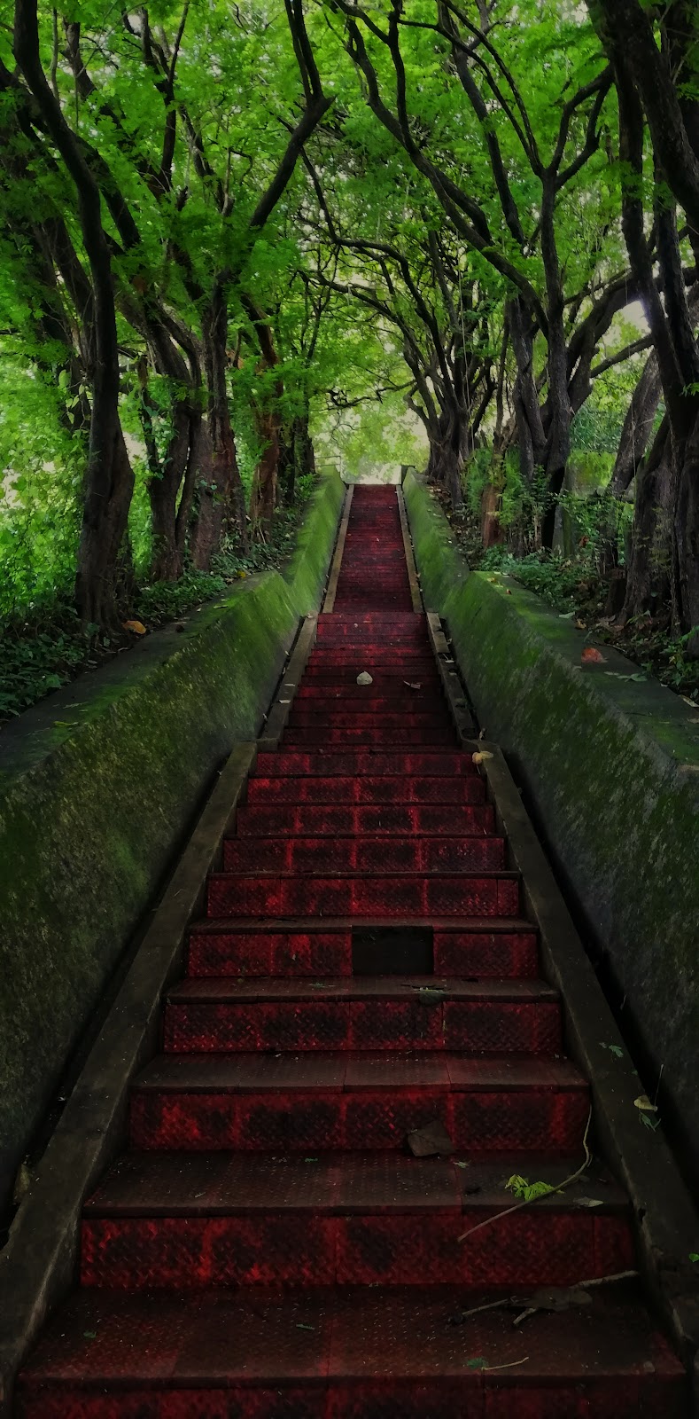 Peechi Dam and Garden