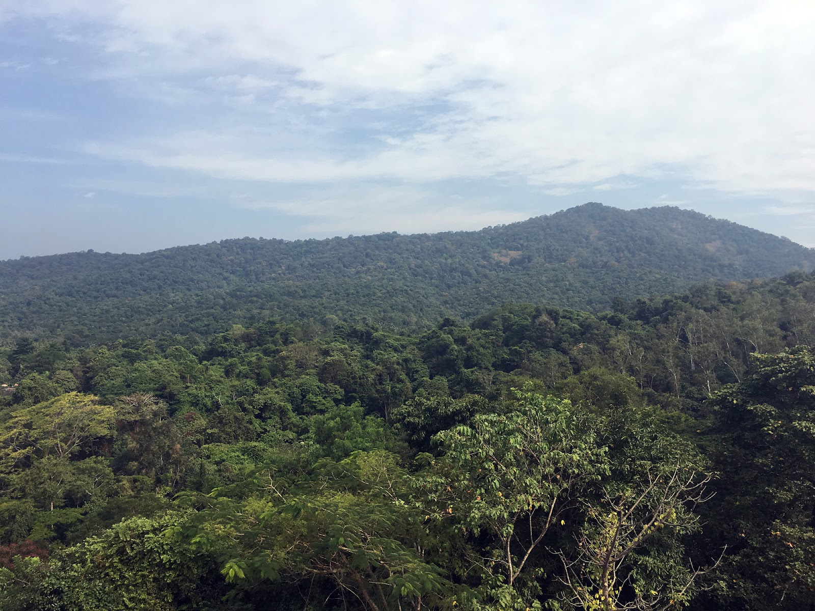 Peechi Dam and Garden